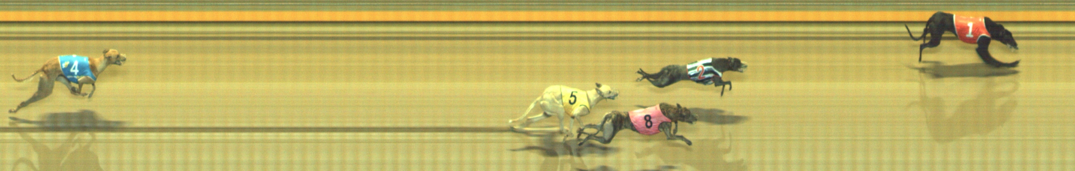 Photo finish for Geelong Race 10