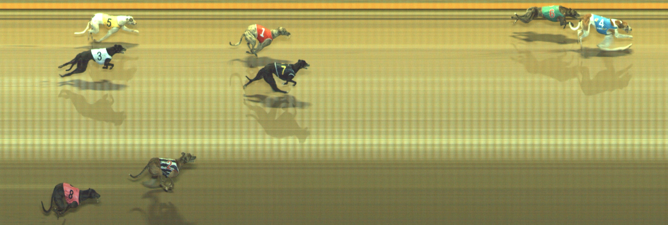Photo finish for Geelong Race 11