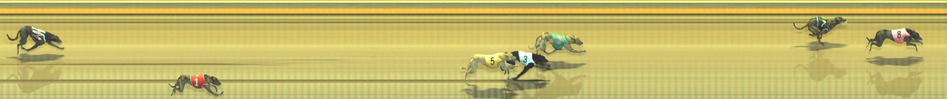 Photo finish for Geelong Race 12
