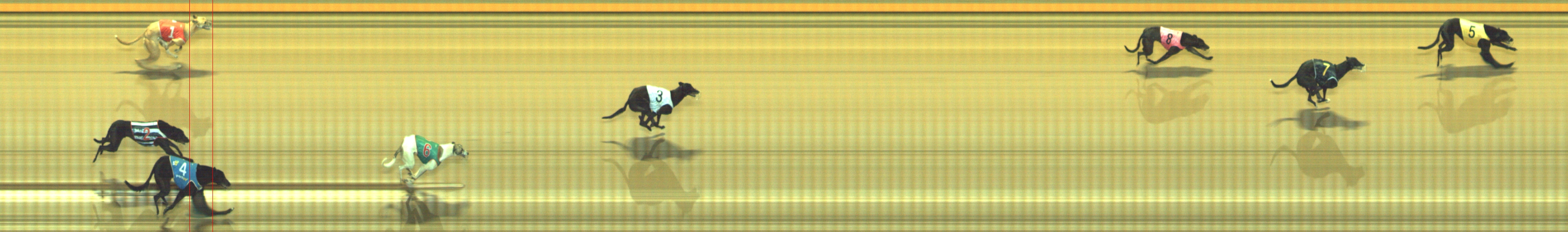 Photo finish for Geelong Race 1