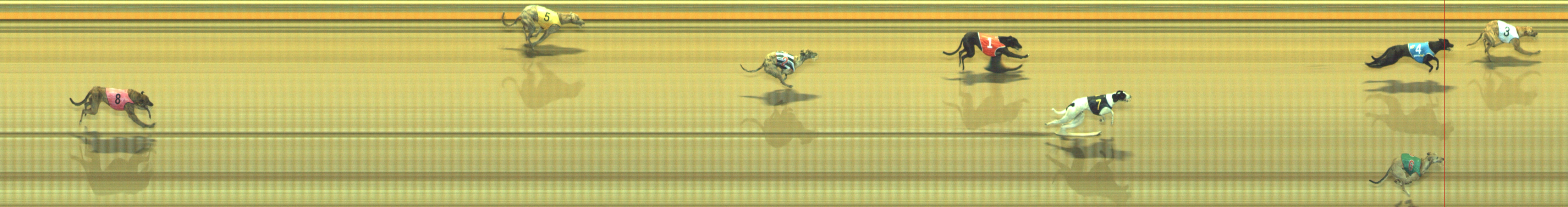 Photo finish for Geelong Race 2