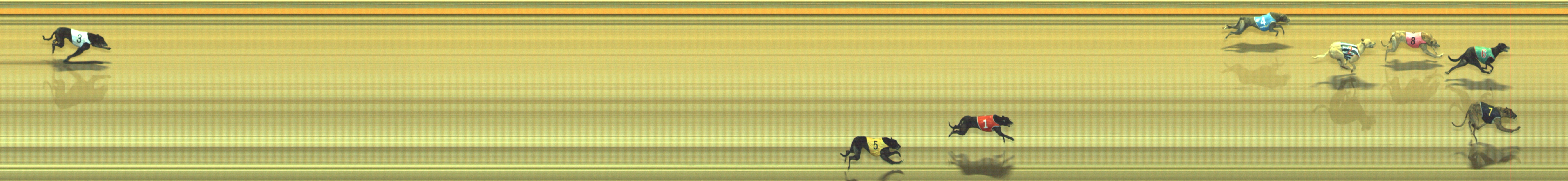 Photo finish for Geelong Race 3