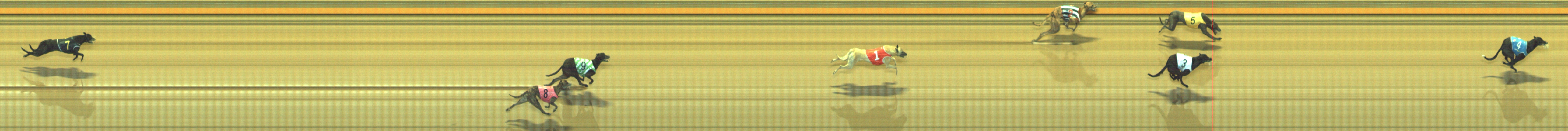 Photo finish for Geelong Race 4