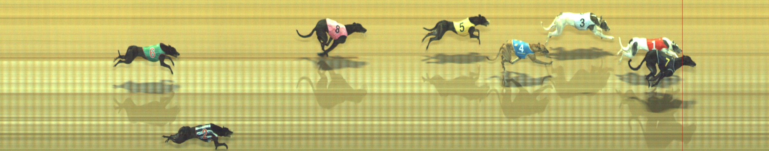 Photo finish for Geelong Race 5