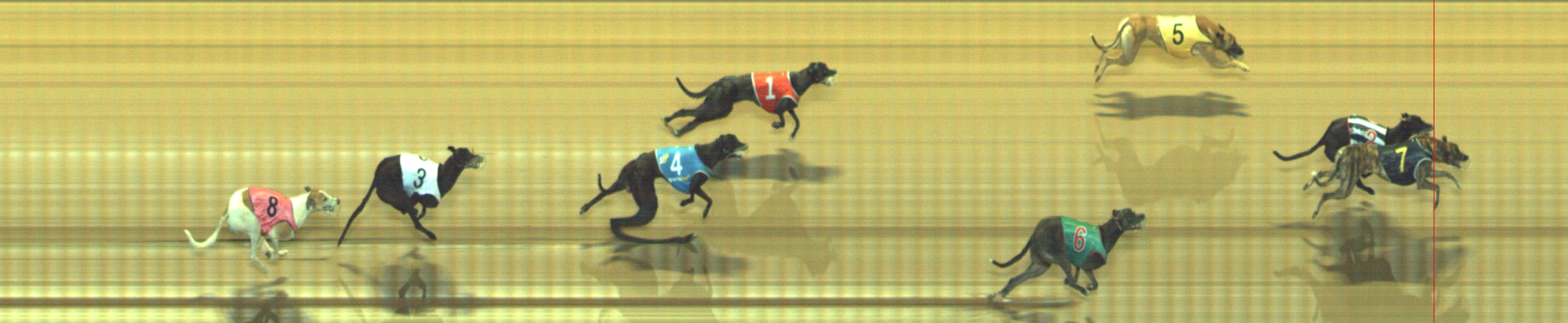 Photo finish for Geelong Race 6