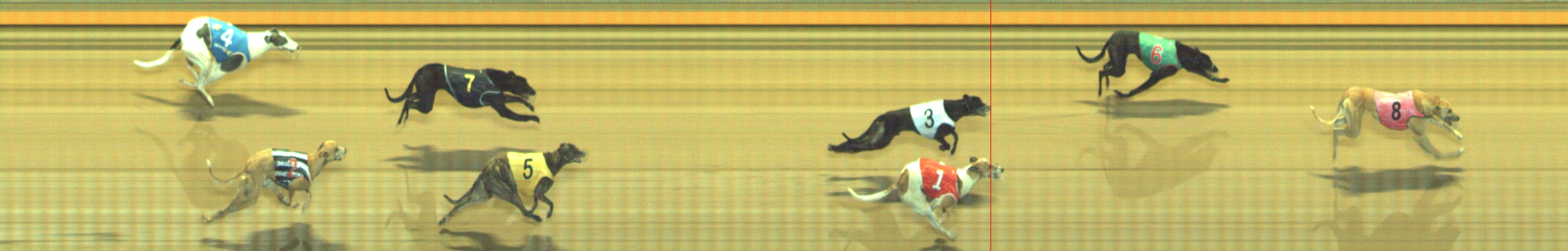 Photo finish for Geelong Race 7