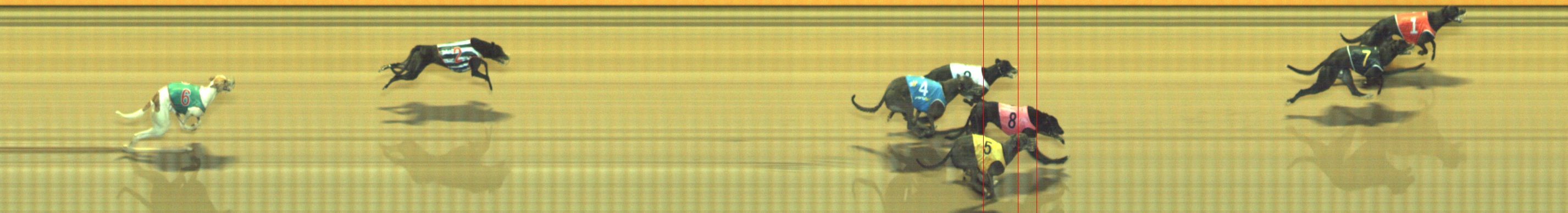 Photo finish for Geelong Race 8