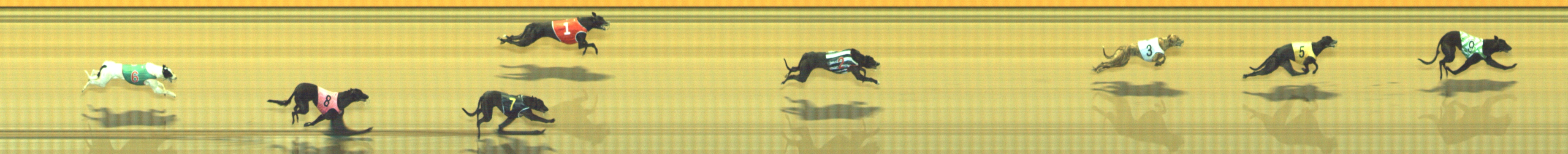 Photo finish for Geelong Race 9