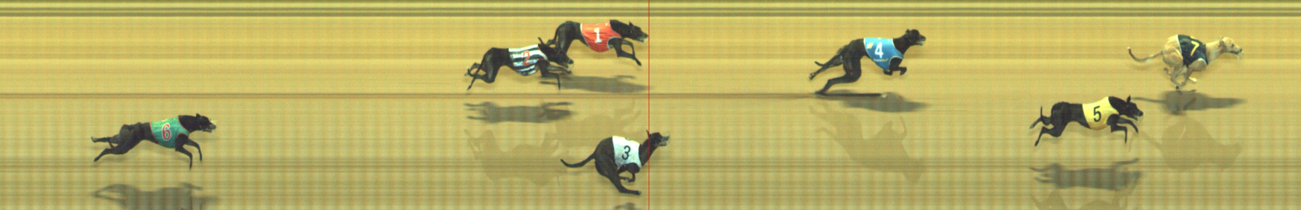 Photo finish for Geelong Race 10