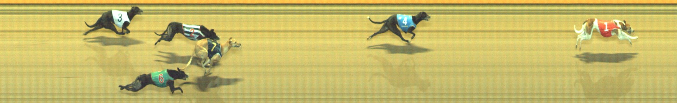 Photo finish for Geelong Race 12