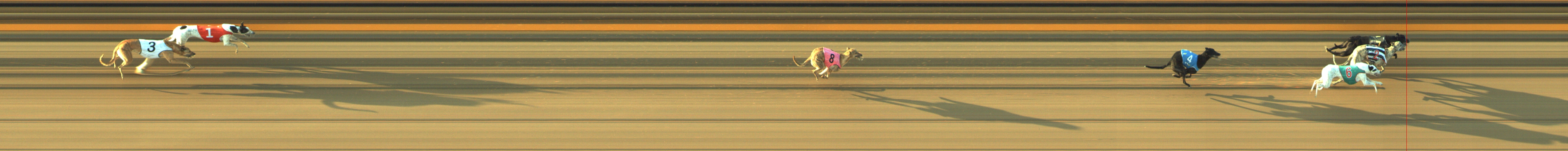 Photo finish for Geelong Race 1
