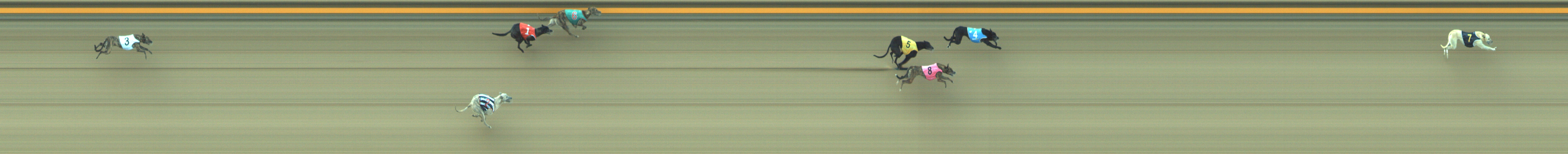 Photo finish for Geelong Race 2