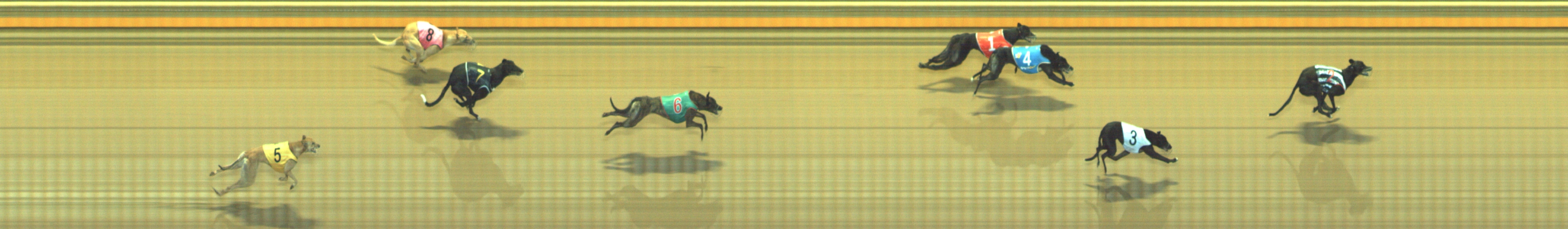 Photo finish for Geelong Race 3