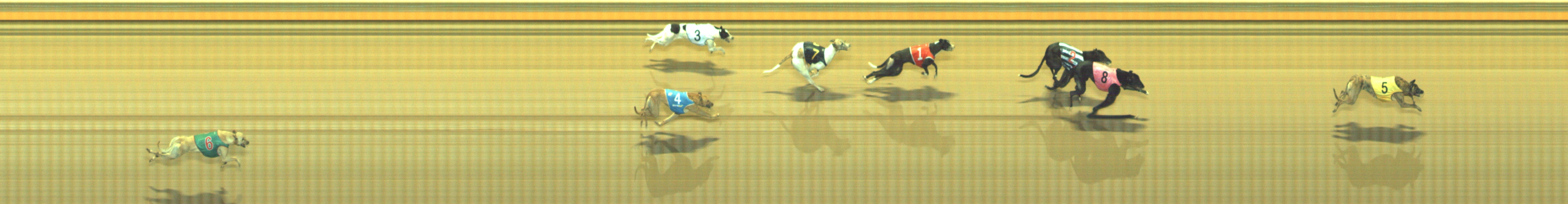 Photo finish for Geelong Race 4