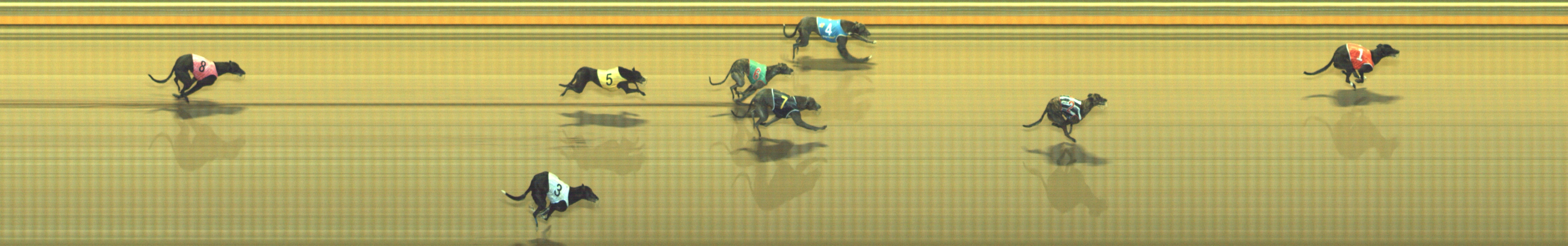 Photo finish for Geelong Race 5