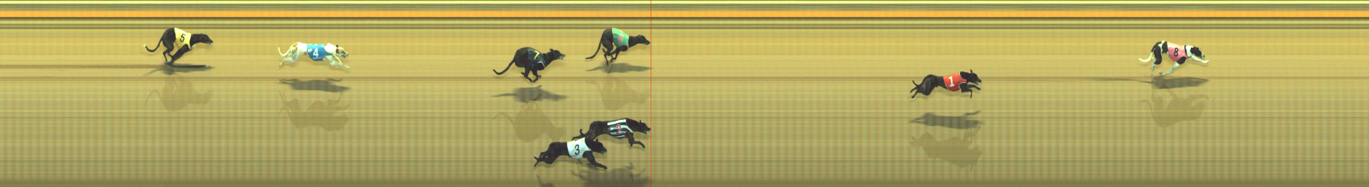 Photo finish for Geelong Race 7