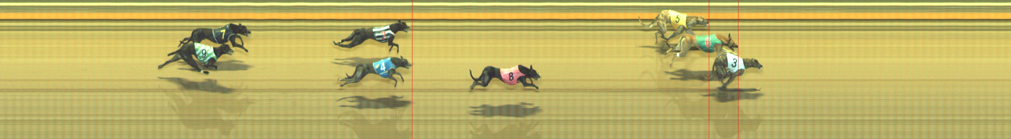 Photo finish for Geelong Race 8
