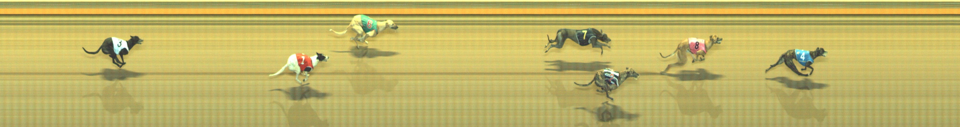 Photo finish for Geelong Race 9