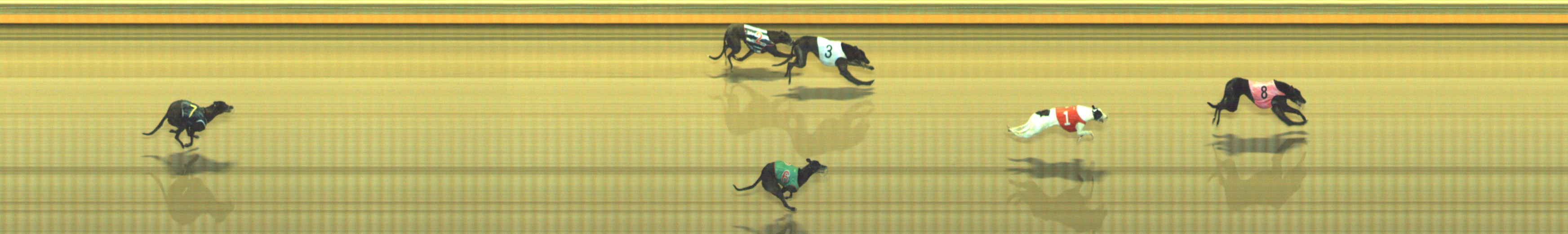 Photo finish for Geelong Race 10
