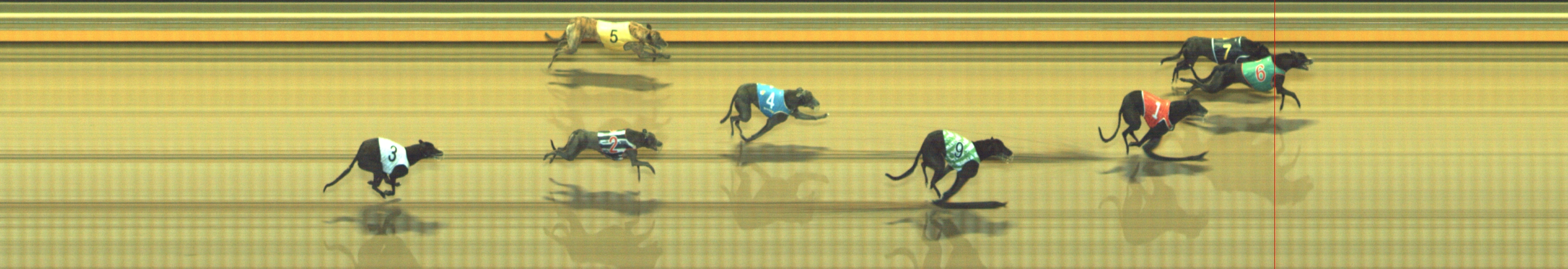 Photo finish for Geelong Race 11