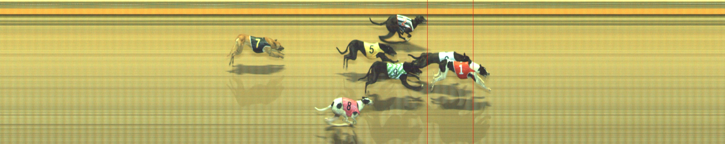 Photo finish for Geelong Race 12