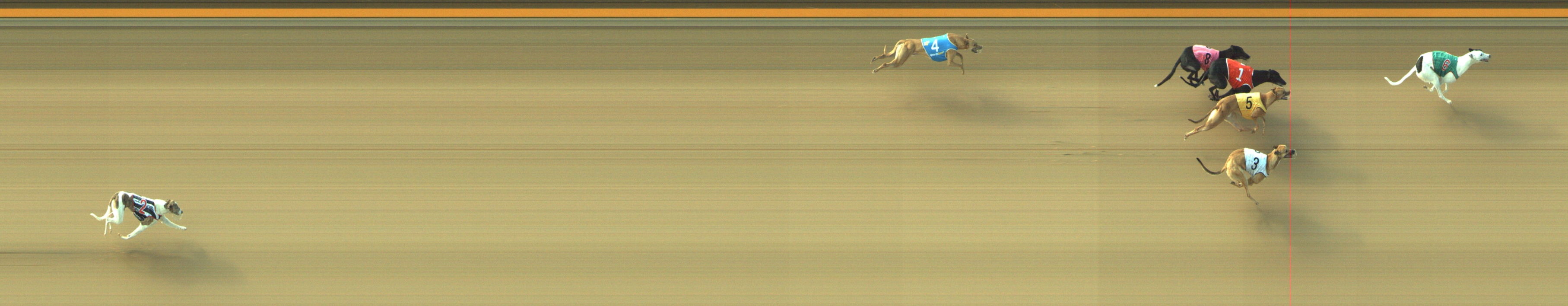 Photo finish for Geelong Race 2