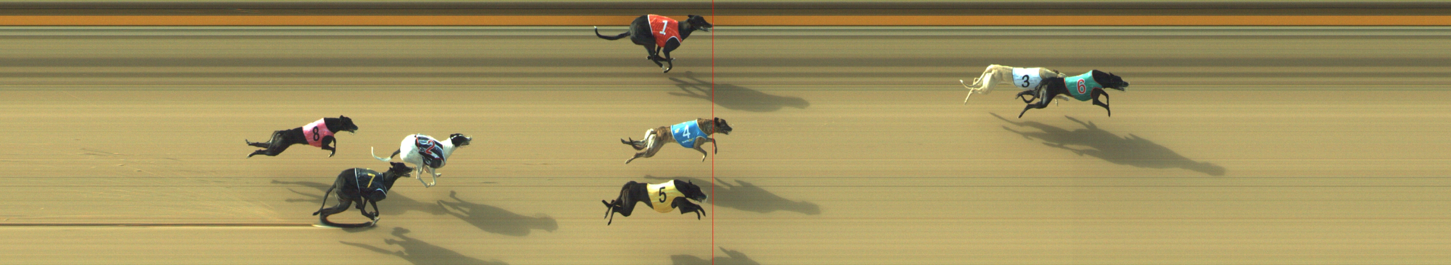 Photo finish for Geelong Race 3