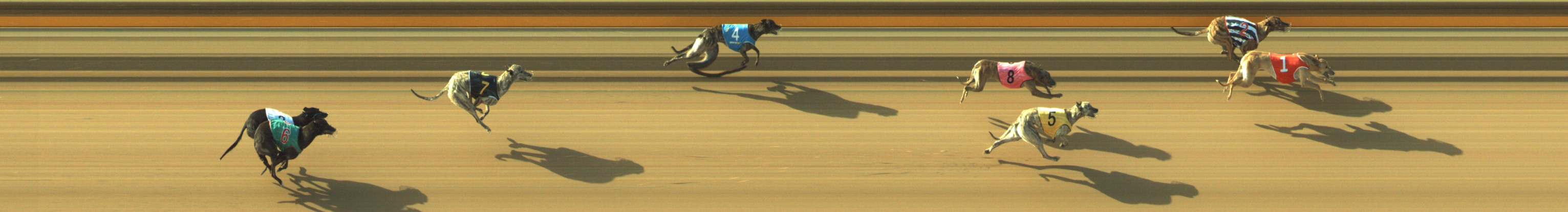 Photo finish for Geelong Race 4