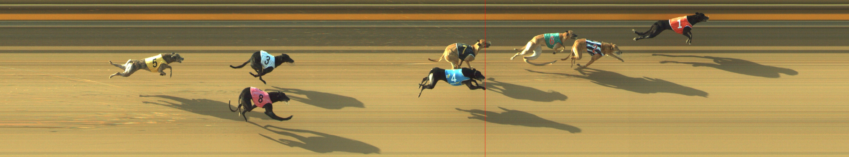 Photo finish for Geelong Race 5