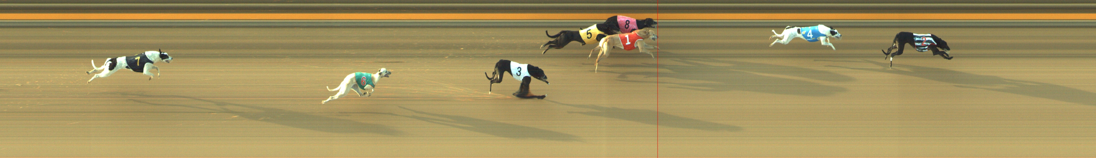Photo finish for Geelong Race 7