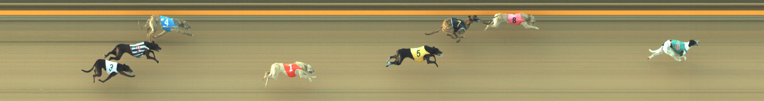 Photo finish for Geelong Race 8