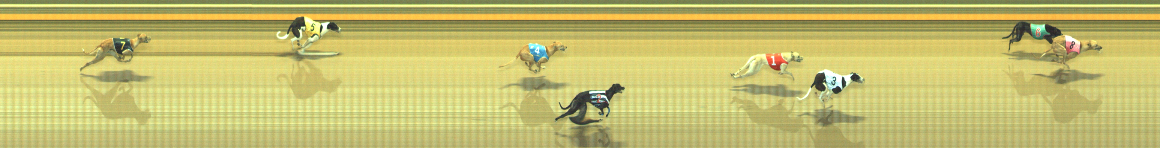 Photo finish for Geelong Race 9