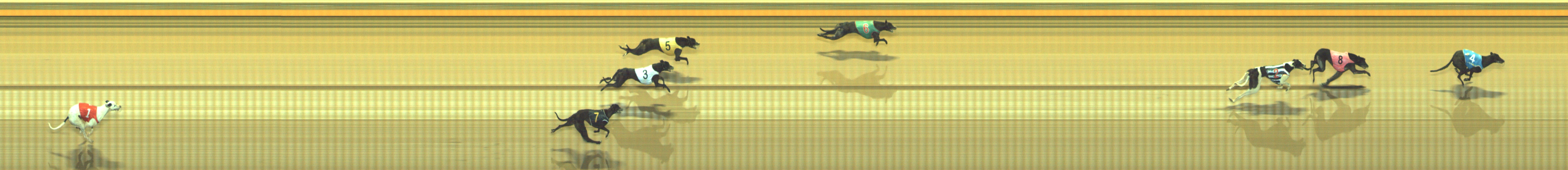 Photo finish for Geelong Race 10