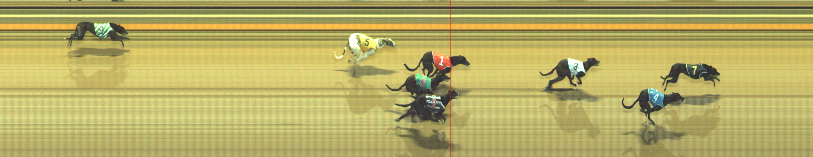 Photo finish for Geelong Race 11