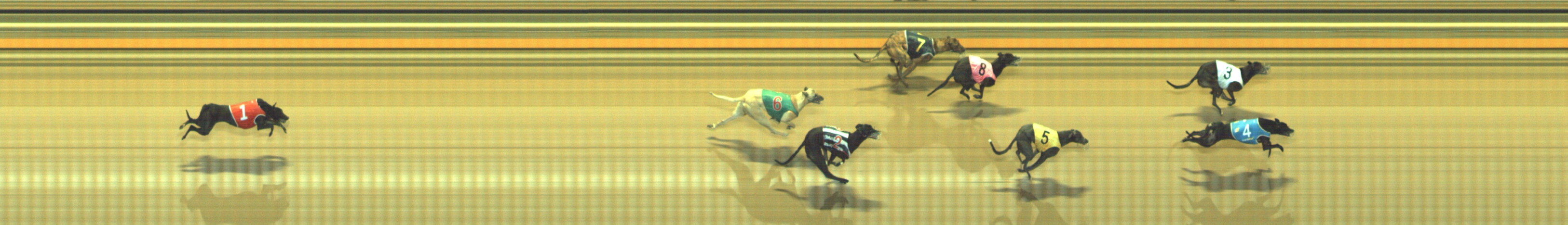 Photo finish for Geelong Race 12