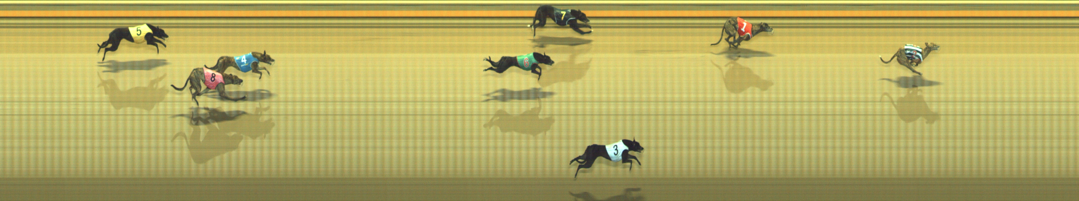Photo finish for Geelong Race 2