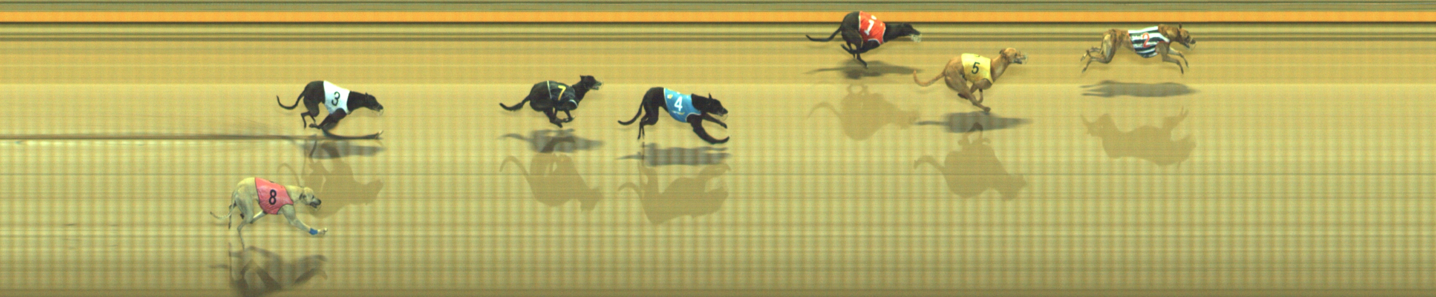 Photo finish for Geelong Race 3