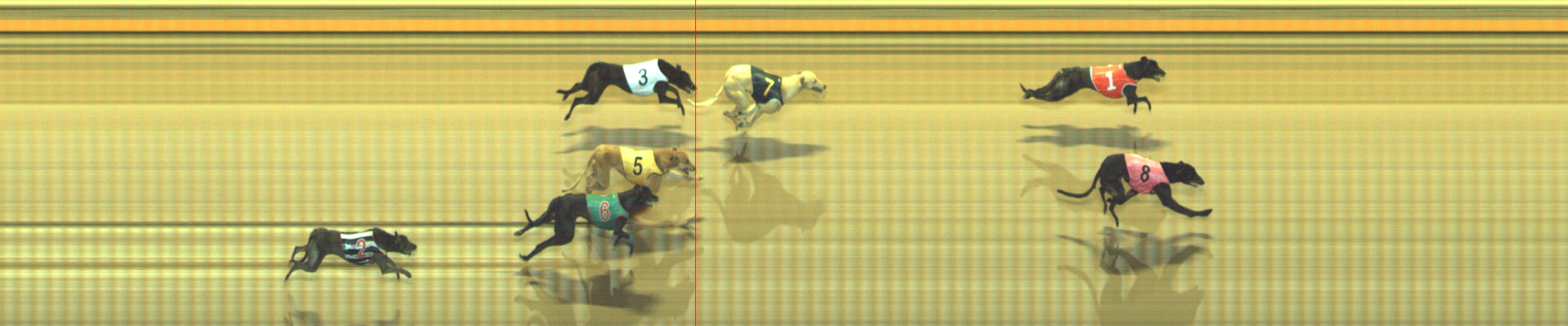 Photo finish for Geelong Race 4