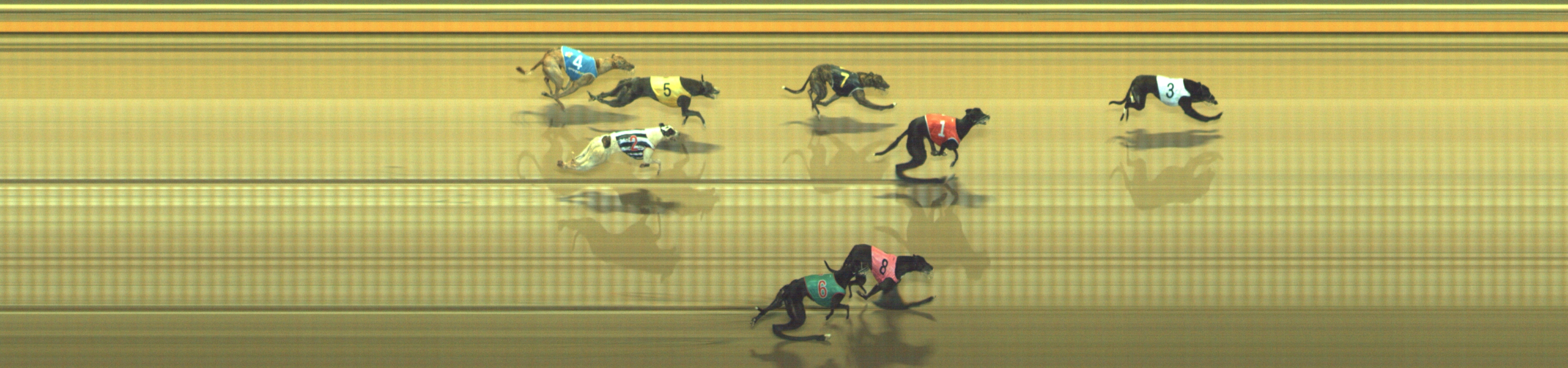Photo finish for Geelong Race 5