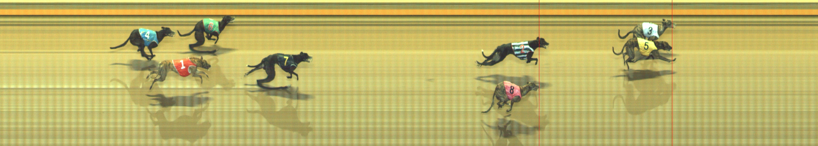 Photo finish for Geelong Race 6
