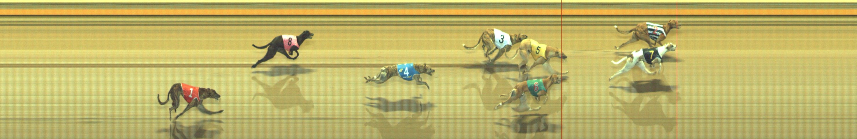 Photo finish for Geelong Race 7