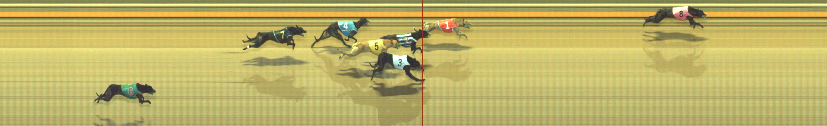 Photo finish for Geelong Race 8