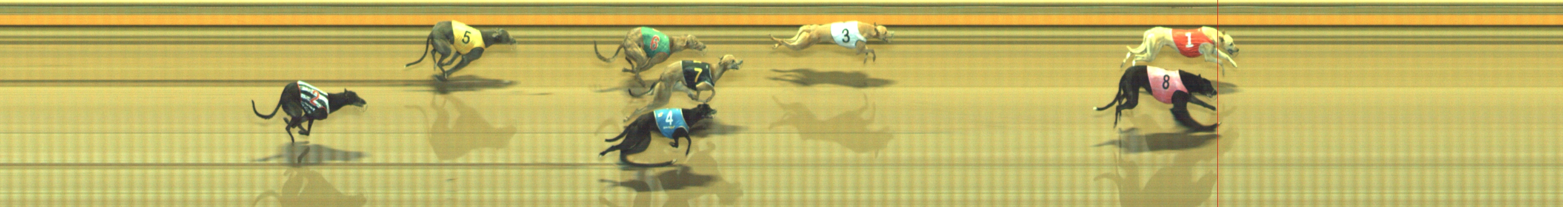 Photo finish for Geelong Race 9