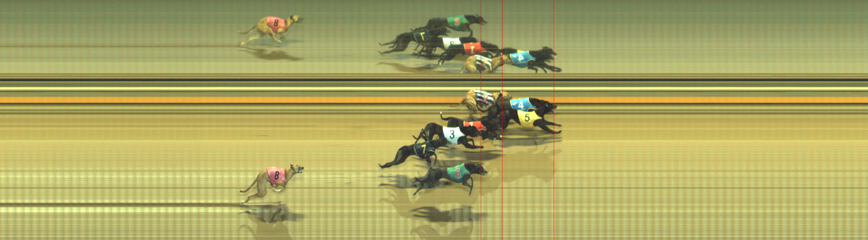 Photo finish for Geelong Race 11