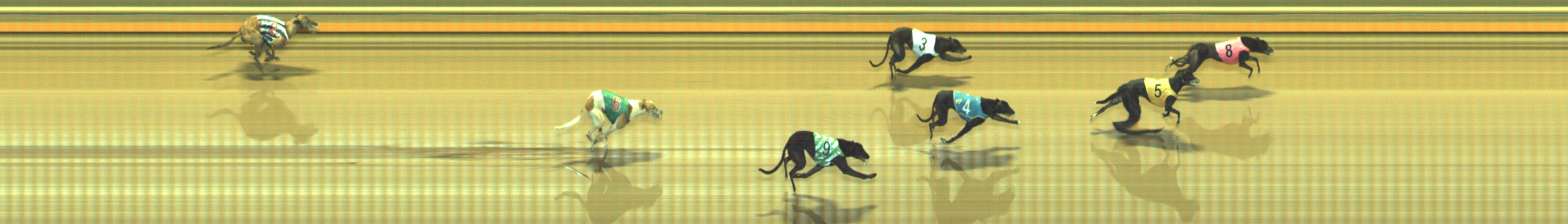 Photo finish for Geelong Race 12