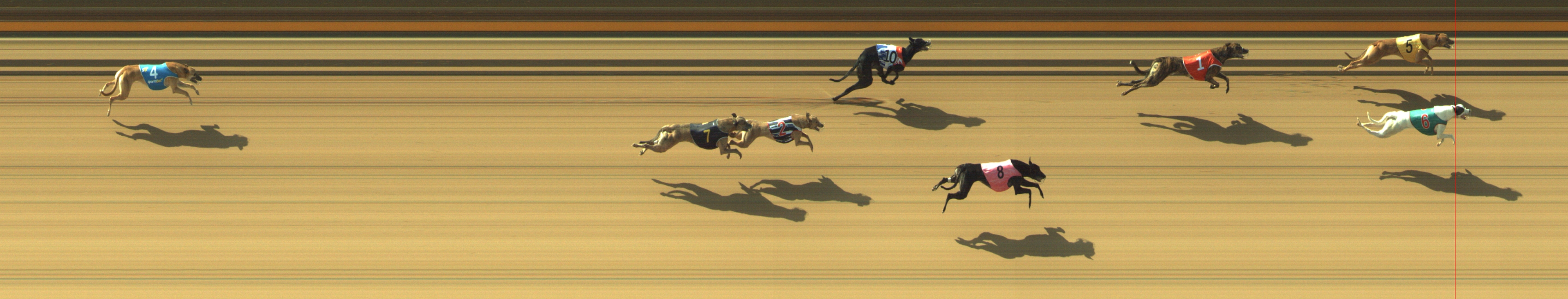 Photo finish for Geelong Race 1