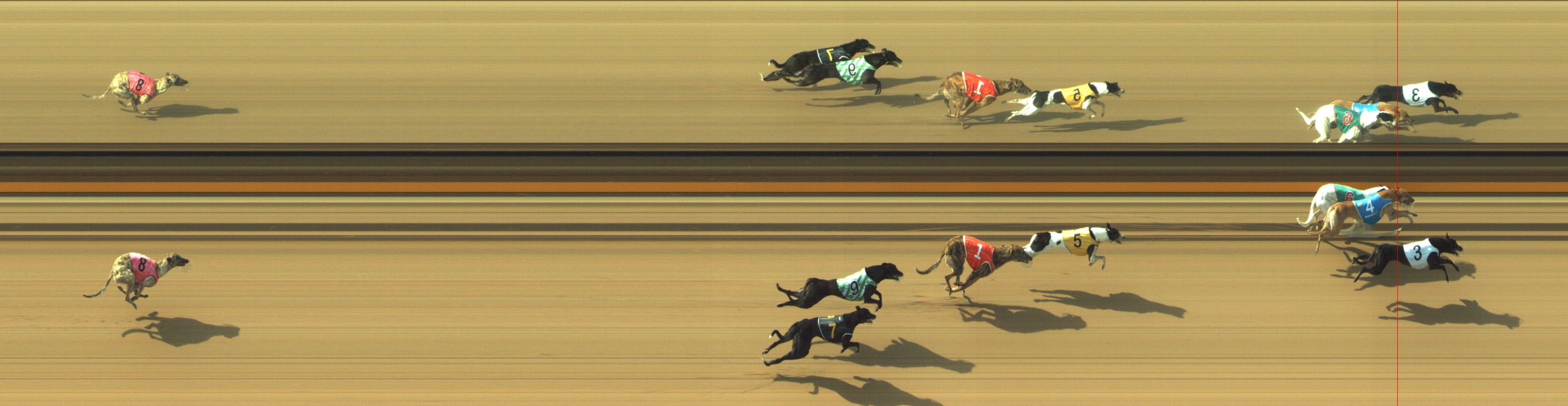 Photo finish for Geelong Race 2