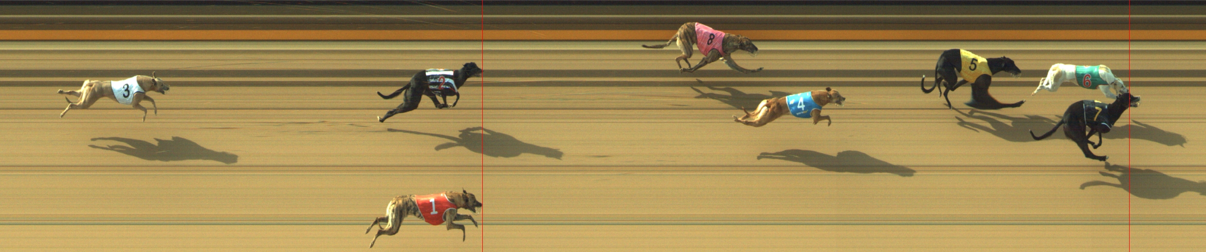 Photo finish for Geelong Race 3