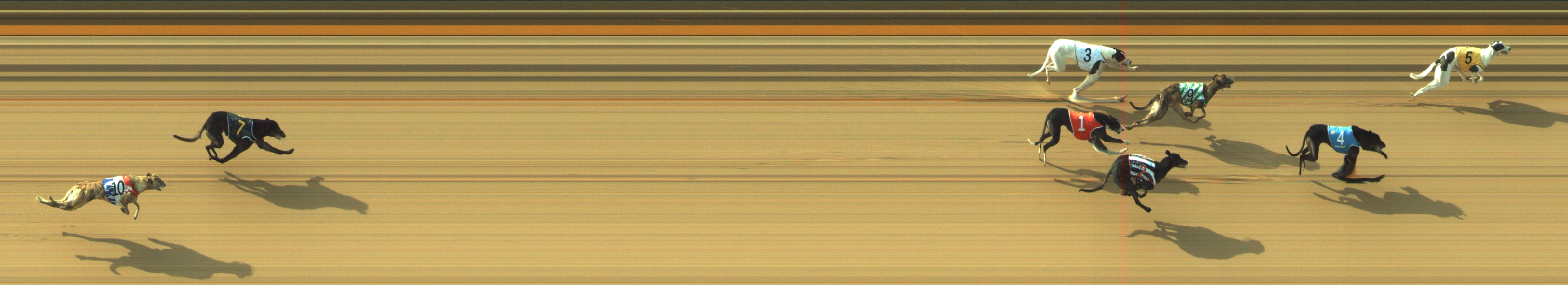 Photo finish for Geelong Race 4