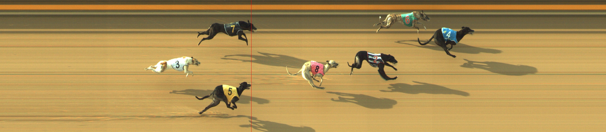 Photo finish for Geelong Race 6